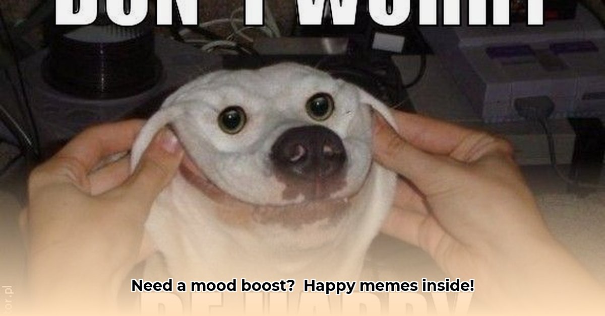 happy-memes